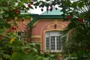 🎂 ¡Feliz cumple Villa Elisa! 136 años de legado, progreso y transformación