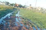 🔴 ¿Qué barrio de City Bell reclama zanjeo y mejoramiento de calles a la Municipalidad?