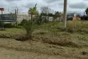 🟢 La Municipalidad de La Plata presente en El Rincón tras meses de espera