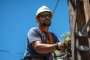 ⚡ Cortes de luz programados en City Bell, Villa Elisa y La Plata: Direcciones y horarios