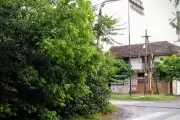 😡 Vecinos de City Bell contra la Municipalidad por basurales sobre el Camino Belgrano