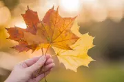 🍂 City Bell recibe el otoño con talleres y emprendedores en su huerta agroecológica