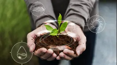 💛 Agroecología, compost y semillas en Villa Elisa: ¿Cómo cultivar alimentos sostenibles?