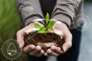 💛 Agroecología, compost y semillas en Villa Elisa: ¿Cómo cultivar alimentos sostenibles?