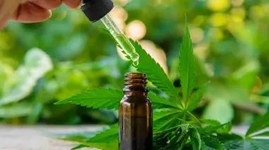 🟢 Marihuana medicinal entre City Bell y Villa Elisa: Encuentro para escuchar y aprender sin prejuicios