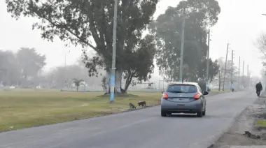 💡 Nuevo asfalto y más luz en el corazón de Arturo Seguí: Alak recorrió las obras