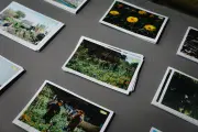 💚 Cine verde en Villa Elisa: 4 funciones especiales por el Día de la Pachamama