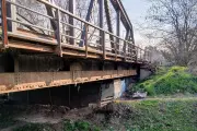 🚨 City Bell en alerta: Usurpación y maltrato animal bajo un puente en Camino Belgrano
