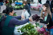 🥳 Feria Agroecológica en Villa Elisa con shows en vivo, patio de comidas y talleres