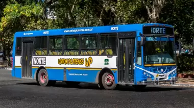 Atención City Bell, Gonnet y Villa Elisa: Habilitan web para opinar sobre transporte público