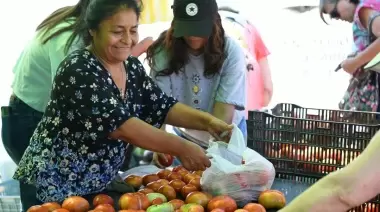 🍅 Música en vivo, foodtrucks y charlas: Llega la Fiesta del Tomate Platense a Gorina