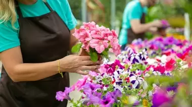 🌺 5° Expo Vivero en City Bell: Energía solar, plantas carnívoras y nuevas tecnologías