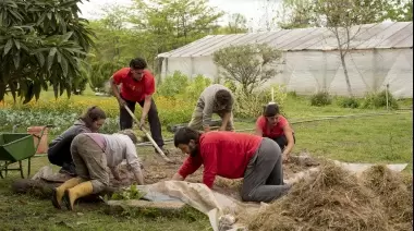 💚 Noviembre verde en el Parque Ecológico: Bioconstrucción, viverismo y plantas silvestres comestibles
