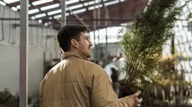 "Plantá conmigo": En Villa Elisa buscan cómo mejorar el arbolado público
