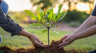 💚 ¿Lo sabías? En el Parque Ecológico Municipal recuperaron más de 100 árboles