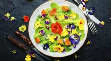 🌺 Gastronomía natural en Villa Elisa: Taller de Plantas Silvestres Comestibles en el Parque Ecológico