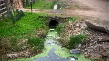 😡 "Nos estamos inundando cada vez que llueve": Crisis en un barrio de la Zona Norte de La Plata