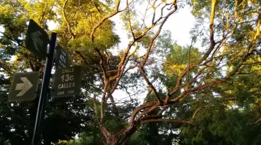 🚶 ¿Conocés todo sobre City Bell? Sumate al Walking Tour de la Municipalidad de La Plata