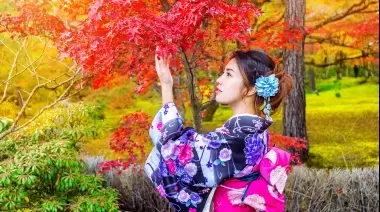 🎉 Febrero recargado en City Bell, Gonnet y Villa Elisa: Bon Odori, Fiesta del Tomate, Walking Tour y Carnavales