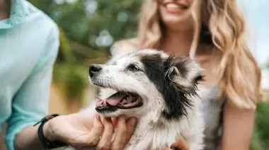 Amor animal: El consultorio veterinario móvil llega a Villa Castells