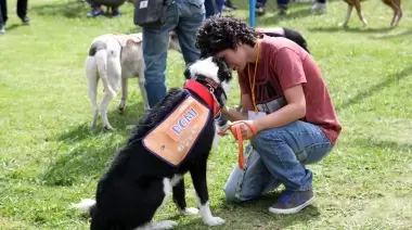 Vacunación y atención veterinaria gratuita en La Repu este miércoles
