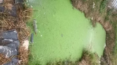 🎥 Video: Vecinos limpian zanjas en City Bell ante la desidia de la Municipalidad de La Plata
