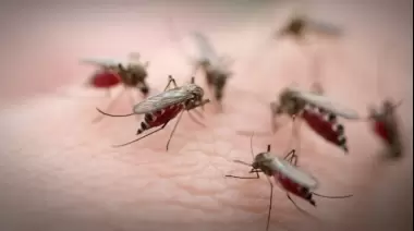 🚨 Alerta dengue en escuela de Villa Elisa: Esperan a ABSA hace 5 años por una pérdida