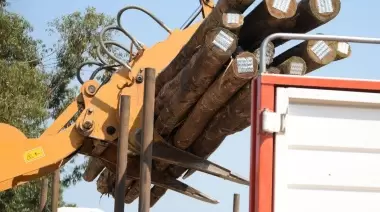 ⚠️ ¡Locura vial en Villa Elisa! Instalaron 50 postes de madera sobre la Avenida Arana