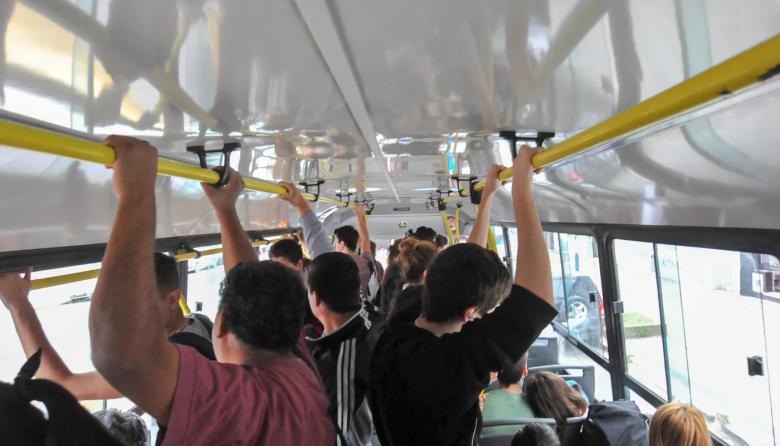 🚌 3 micros nuevos para Villa Elisa, Arturo Seguí y El Rincón: ¿Cuáles son?