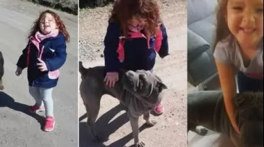 Conmovedor pedido de una niña por su perra