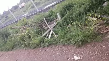 Quejas de vecinos de City Bell por la falta de recolección de residuos