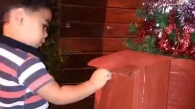 En el barrio Martín Fierro de City Bell se robaron un Árbol de Navidad instalado para los niños de la zona