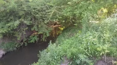 Siguen las denuncias por olores nauseabundos en el Arroyo Rodríguez de City Bell