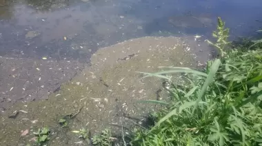 Confirmado: El Country Grand Bell y el Frigorífico Gorina son los responsables por los malos olores y la contaminación del Arroyo Rodríguez