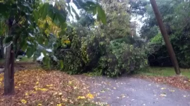Fuertes ráfagas de 80 kilómetros por hora en la Región