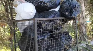 La plata se la llevan, la basura no. Más de 10 días sin recolección de residuos en Gonnet