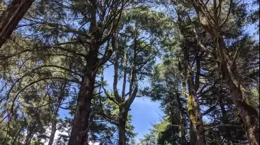 En El Rincón los reclamos vecinales cumplen 10 años sin solución