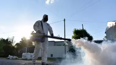 Invasión de mosquitos: Cuidados claves por peligro de Dengue