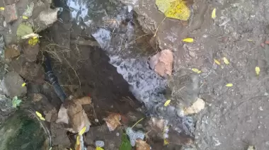 Una cascada en City Bell