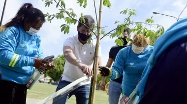 Ciudad Verde: ¿En qué consiste el "Plan de Forestación 20-25"?