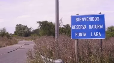 Campaña online para recuperar el "Camino de la Muerte" de Villa Elisa