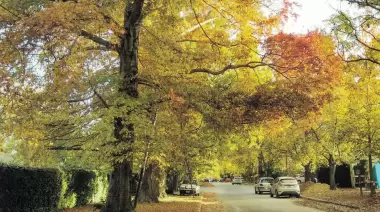City Bell festeja 107 años: Del fracaso del remate de tierras a convertirse en un destino soñado