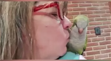 Volvió tras 5 años: La historia de Paulie y su familia de City Bell