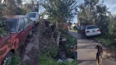 "Cementerios de autos": Una práctica que preocupa en la Zona Norte