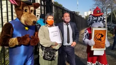 Castraciones masivas y gratuitas: 56.000 firmas para hacer historia