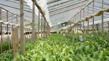 Confirmado: Colonia Urquiza tendrá su propia delegación municipal