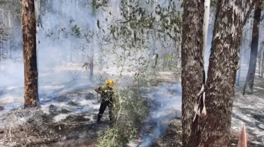 Ahora en Parque Pereyra: 8 dotaciones de Bomberos combaten un voraz incendio