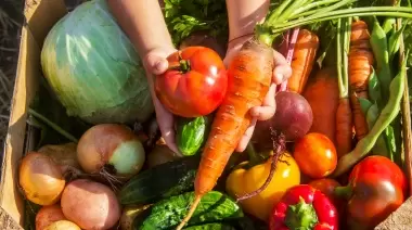 A 5 minutos de City Bell: Feria de alimentos agroecológicos a precios populares