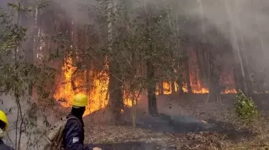 ¿Incendio intencional en Parque Pereyra? Countries, negociados y otras yerbas
