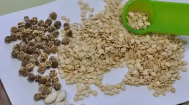 🌱 ¿Cómo y dónde conseguir las semillas del INTA en Villa Elisa?